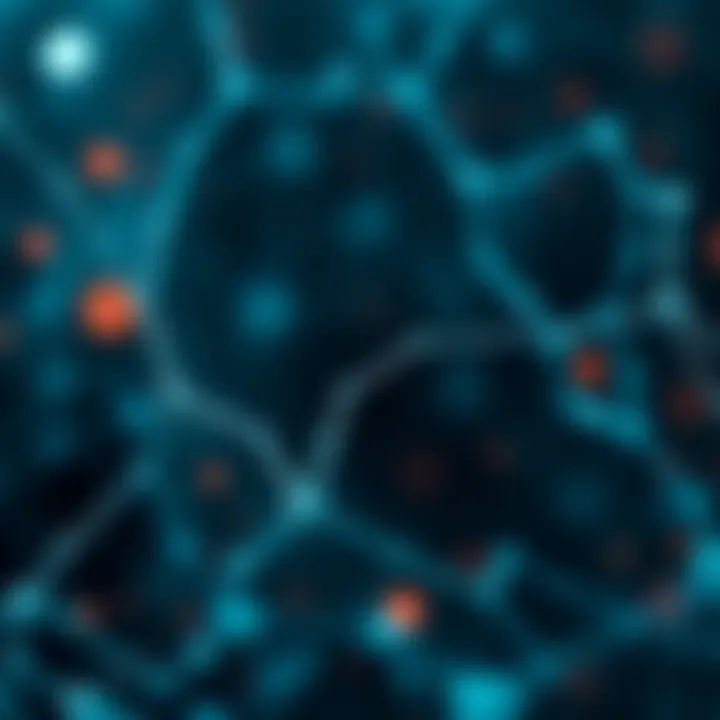 Magnificent Understanding the Liquidity Network in Cryptocurrency
