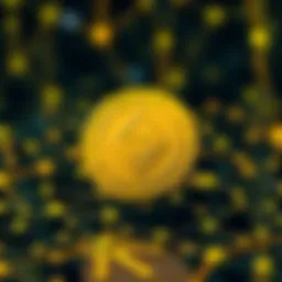 Visual representation of Proton Coin's blockchain technology