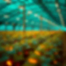 An overview of crypto farm yielding mechanics