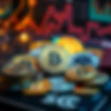 A visual representation of various cryptocurrency wallet types